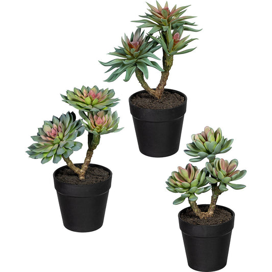 Succulents on a trunk, pack of 3, height 220 - 240 mm, green pink, plastic pot.