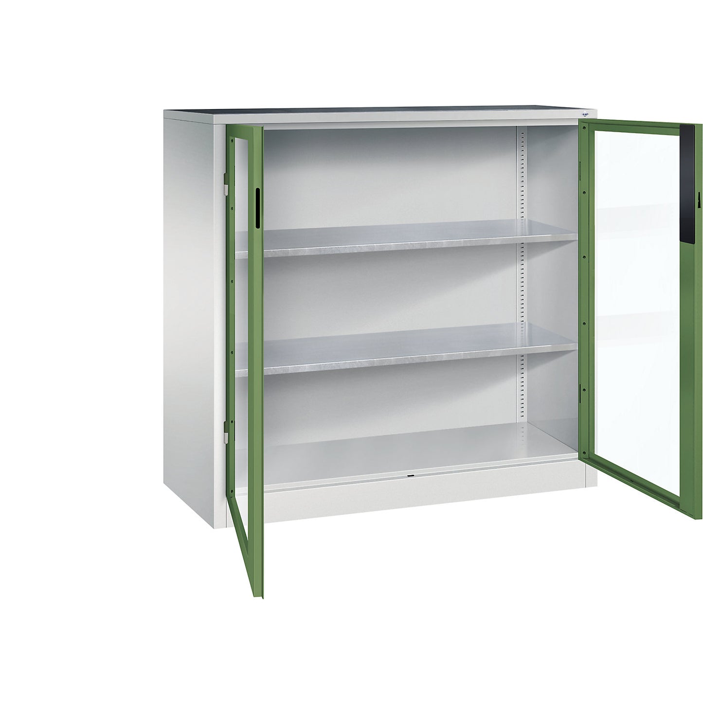 Vision panel double door cupboard, HxWxD 1200 x 1200 x 500 mm, 2 shelves, light grey / reseda green.