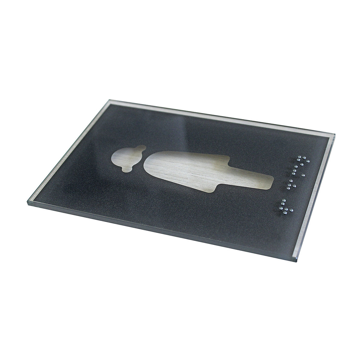 WC pictogram door sign, braille, HxW 148 x 105 mm, self-adhesive, inscription: Damen.