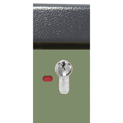 Fire resistant industrial hazardous goods cupboard, type 90, HxWxD 1955 x 600 x 615 mm, 1 door, reseda green.