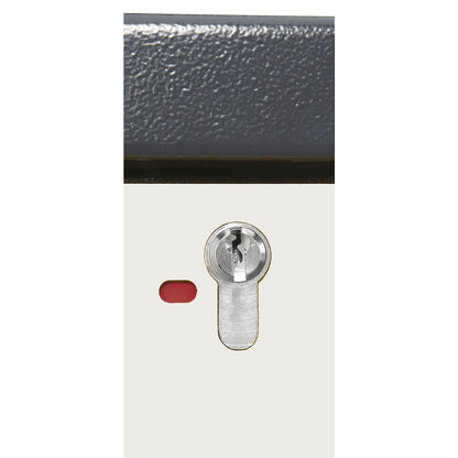 Fire resistant industrial hazardous goods cupboard, type 90, HxWxD 1955 x 600 x 615 mm, 1 door, pure white.