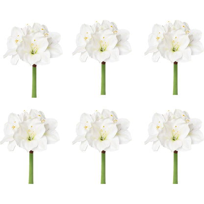 Amaryllis, white, pack of 6, overall height 560 mm.