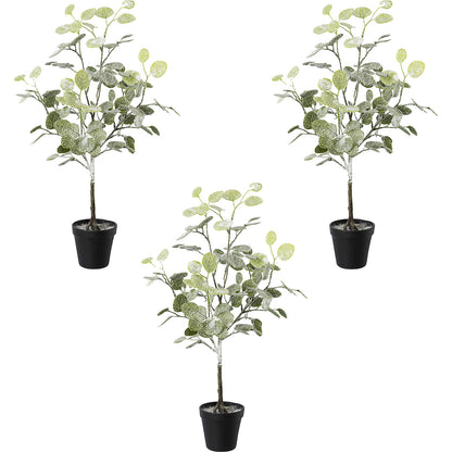 Eucalyptus in a pot, frosted, pack of 3, overall height 580 mm.