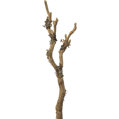 Branch with lichen, pack of 4, overall height 610 mm.