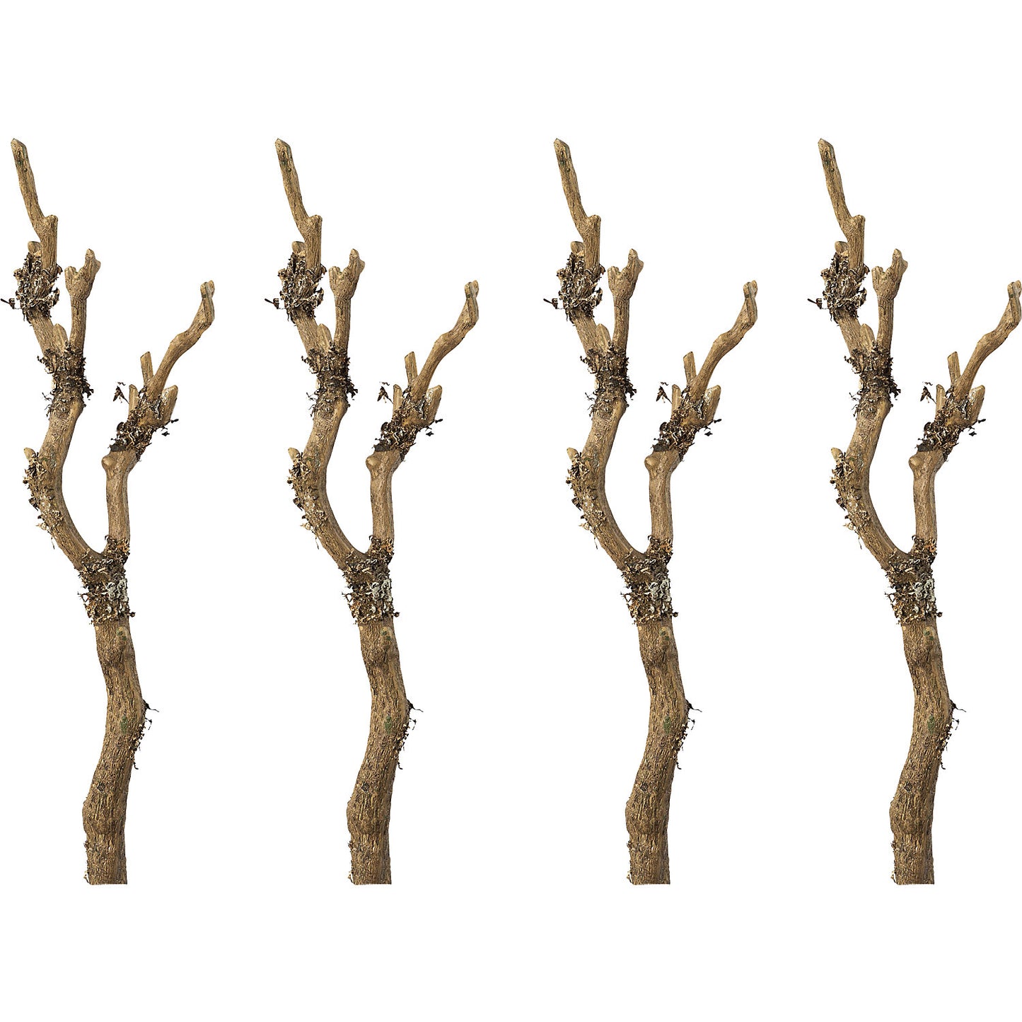 Branch with lichen, pack of 4, overall height 610 mm.