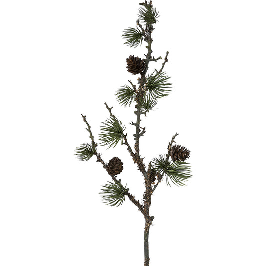 Cedar branch with cones and lichen, pack of 4, overall height 570 mm.