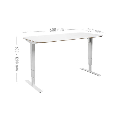 Atlanta Trend desk, electrically height adjustable, straight, rounded corners, WxD 1600 x 800 mm, white/white.