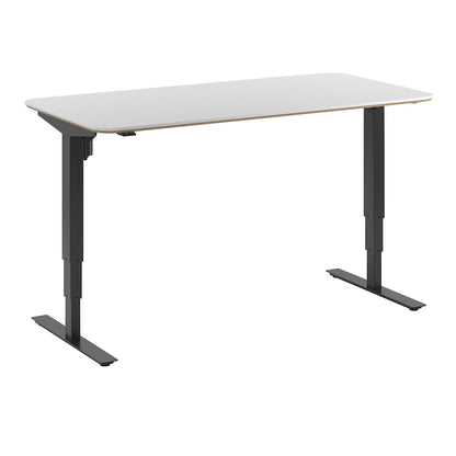 Atlanta Trend desk, electrically height adjustable, straight, rounded corners, WxD 1600 x 800 mm, white/black.