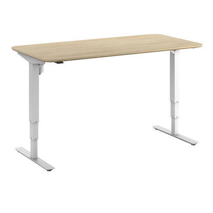 Atlanta Trend desk, electrically height adjustable, straight, rounded corners, WxD 1600 x 800 mm, oak/white.