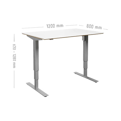 Atlanta Trend desk, electrically height adjustable, straight, WxD 1200 x 800 mm, white/silver.