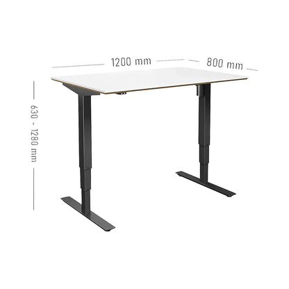 Atlanta Trend desk, electrically height adjustable, straight, WxD 1200 x 800 mm, white/black.
