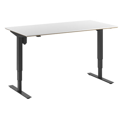 Atlanta Trend desk, electrically height adjustable, straight, WxD 1600 x 800 mm, white/black.