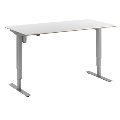Atlanta Trend desk, electrically height adjustable, straight, WxD 1600 x 800 mm, white/silver.