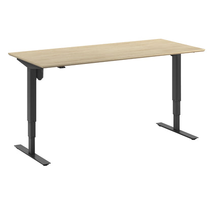 Atlanta Trend desk, electrically height adjustable, straight, WxD 1800 x 800 mm, oak/black.