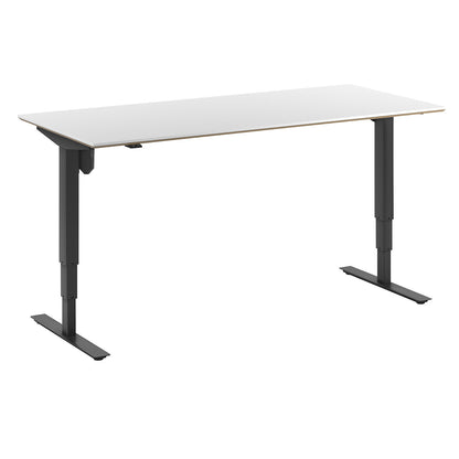 Atlanta Trend desk, electrically height adjustable, straight, WxD 1800 x 800 mm, white/black.