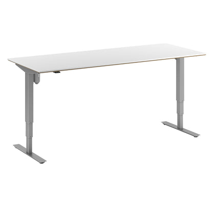 Atlanta Trend desk, electrically height adjustable, straight, WxD 2000 x 800 mm, white/silver.