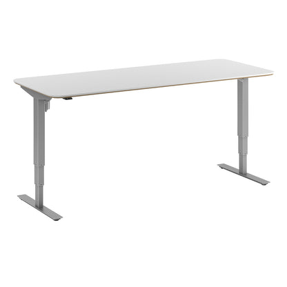 Atlanta Trend desk, electrically height adjustable, straight, rounded corners, WxD 2000 x 800 mm, white/silver.