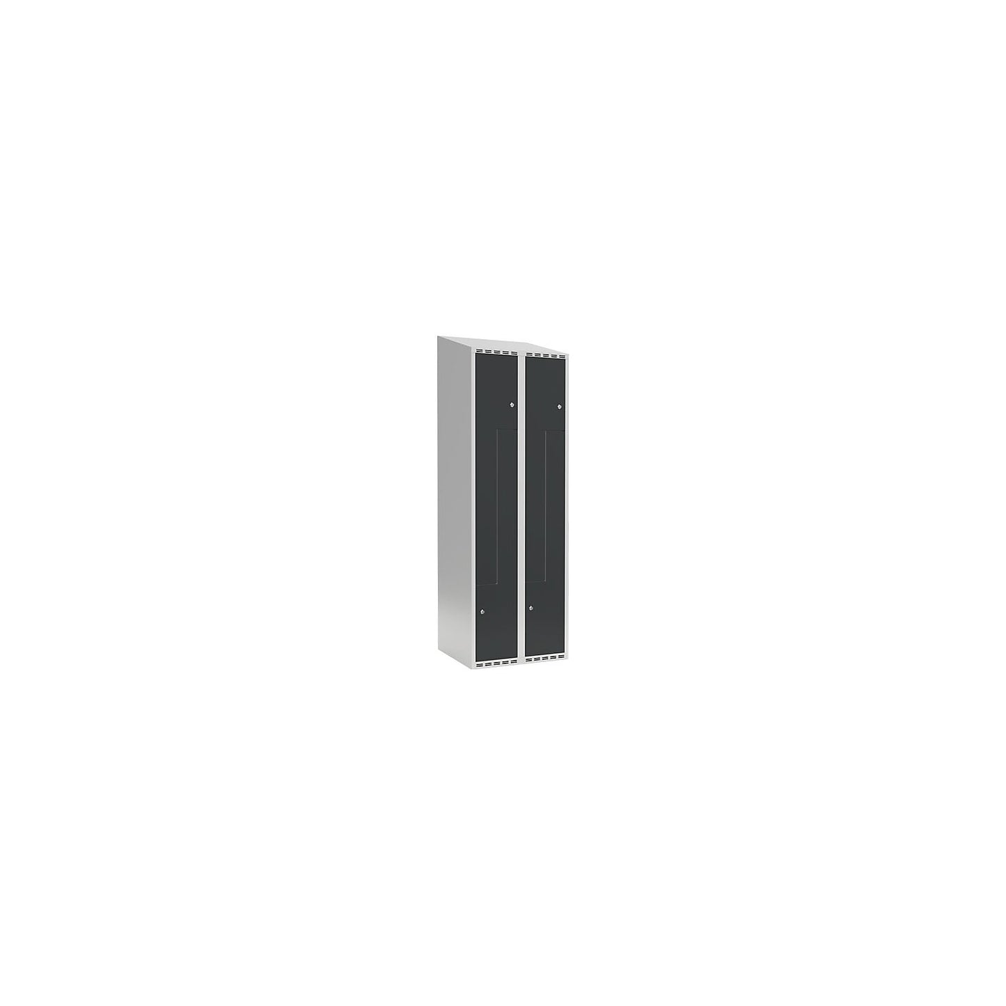 Fydor Z locker, 2 compartments, light grey / charcoal, W 600 mm, 2 compartments, sloping roof shape, cylinder lock.
