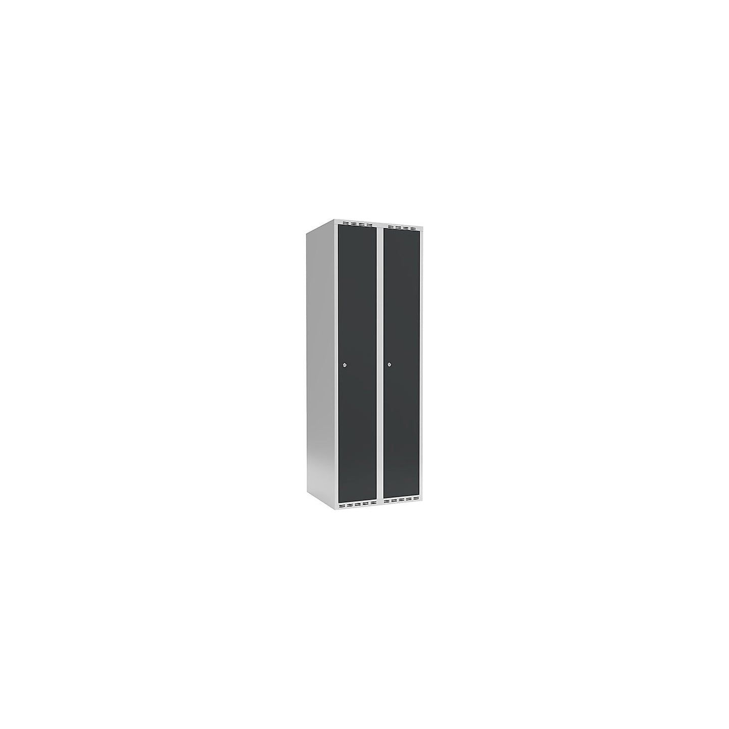 Fydor locker, 2 compartments, light grey / charcoal, W 600 mm, flat roof shape, cylinder lock.