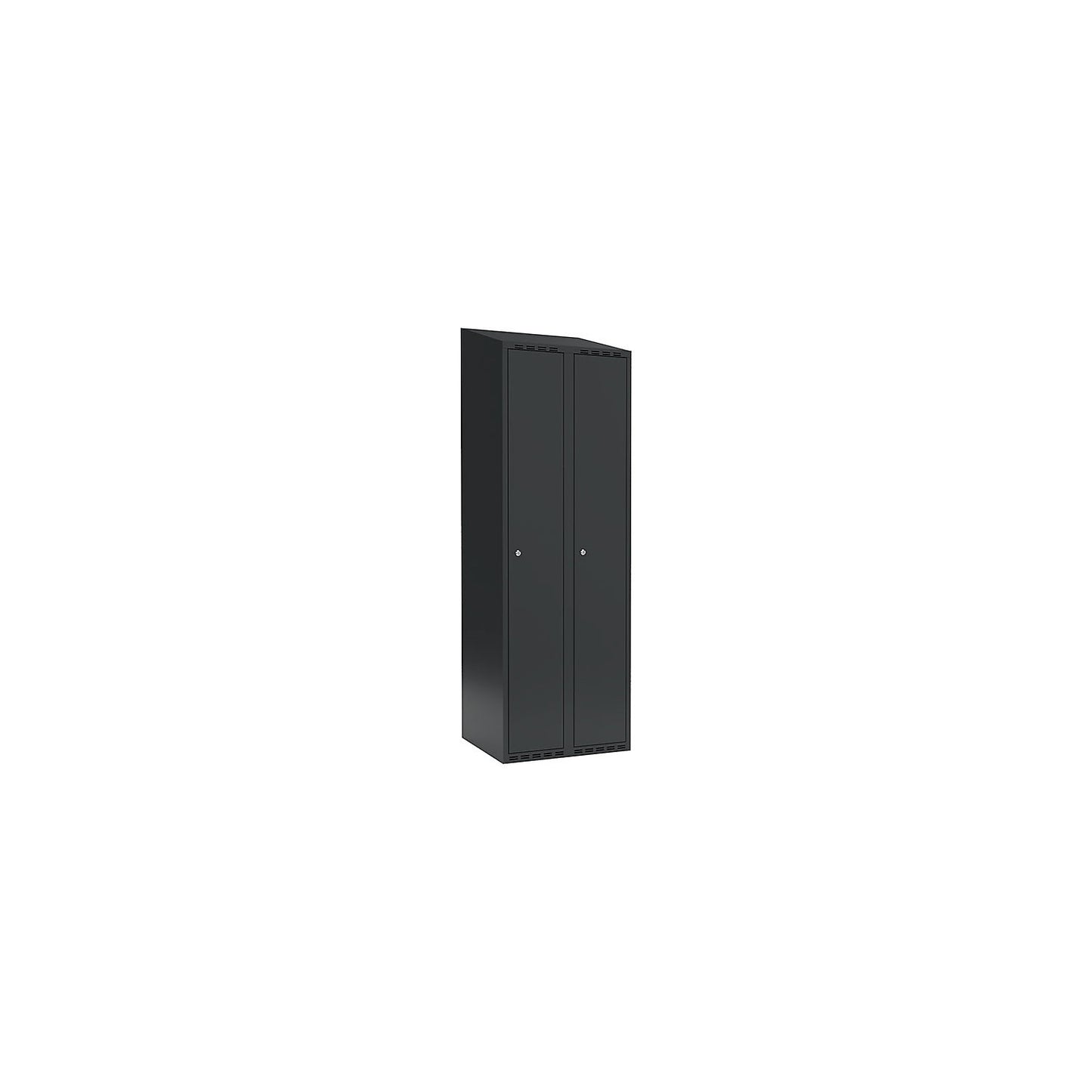 Fydor locker, 2 compartments, charcoal, W 600 mm, sloping roof shape, cylinder lock.