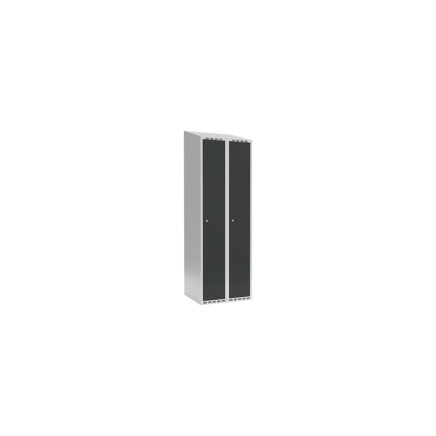 Fydor locker, 2 compartments, light grey / charcoal, W 600 mm, sloping roof shape, cylinder lock.