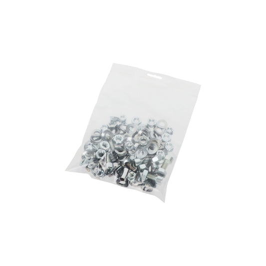 Pressure seal bag with Euro hole, pack of 1000, LxW 250 x 180 mm.