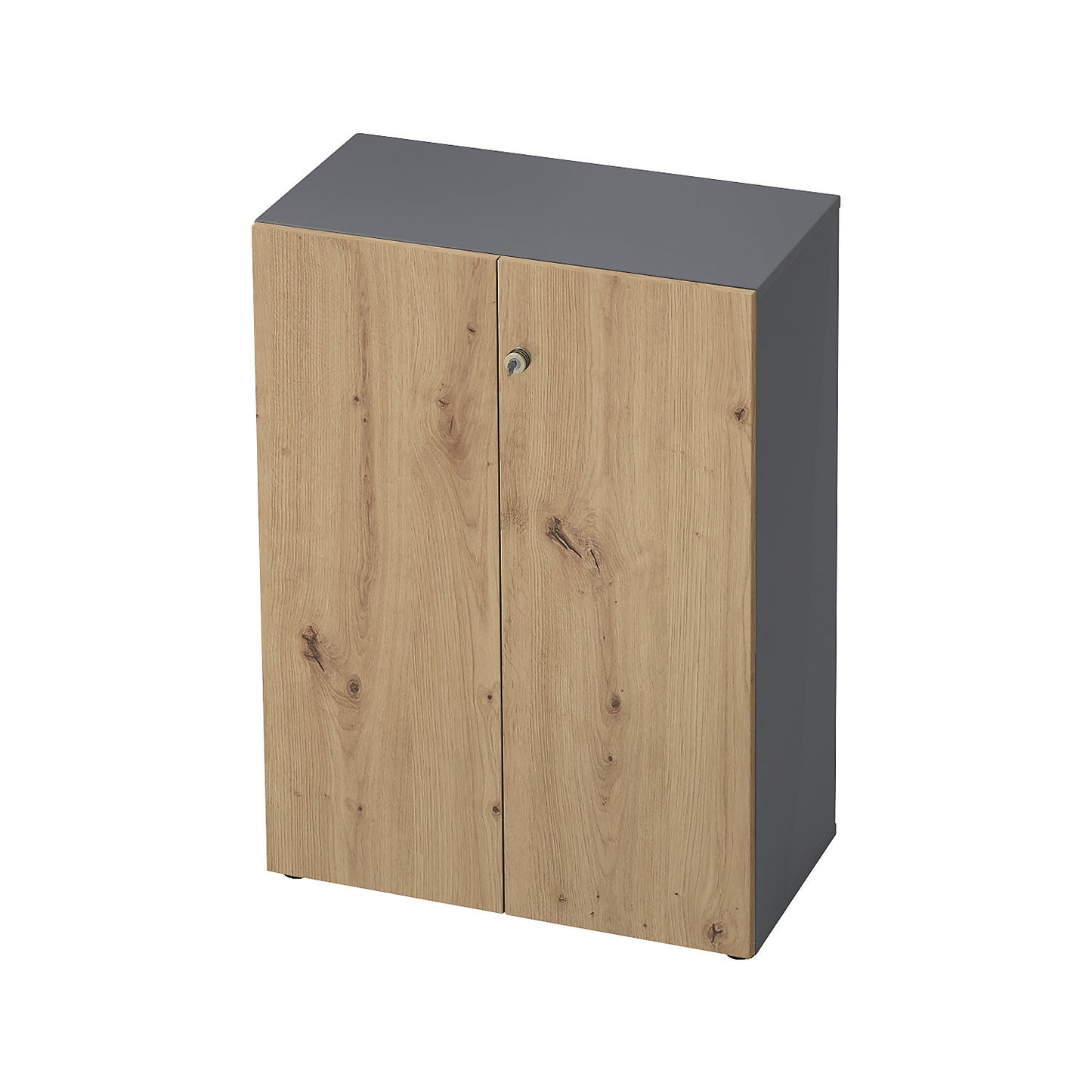 Filing cupboard, hinged doors, 2 shelves, graphite / knotty oak.