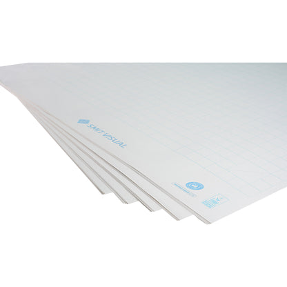 Flip-chart paper Eco, chequered, pack of 5, format 1000 x 650 mm.