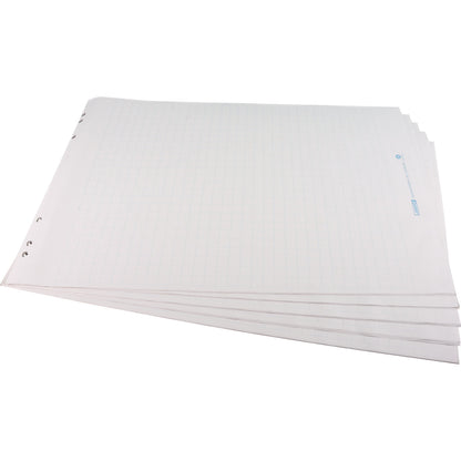 Flip-chart paper Eco, chequered, pack of 5, format 1000 x 650 mm.