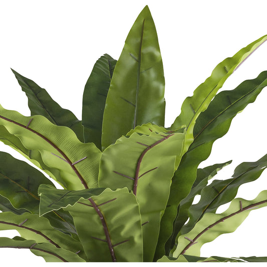 Asplenium, metal pot, height 1050 mm.