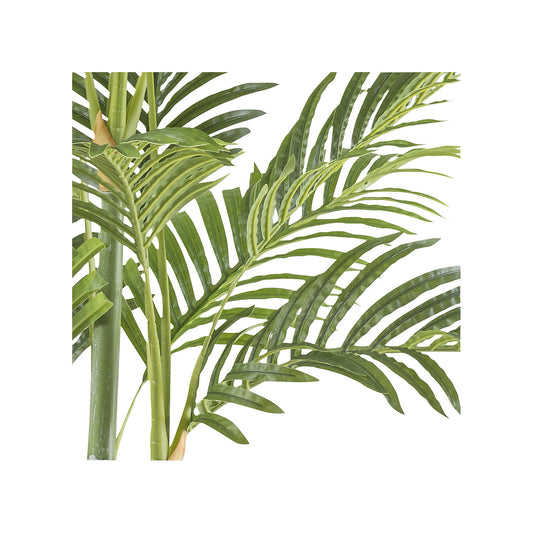 Bamboo palm, plastic pot, height 1550 mm.