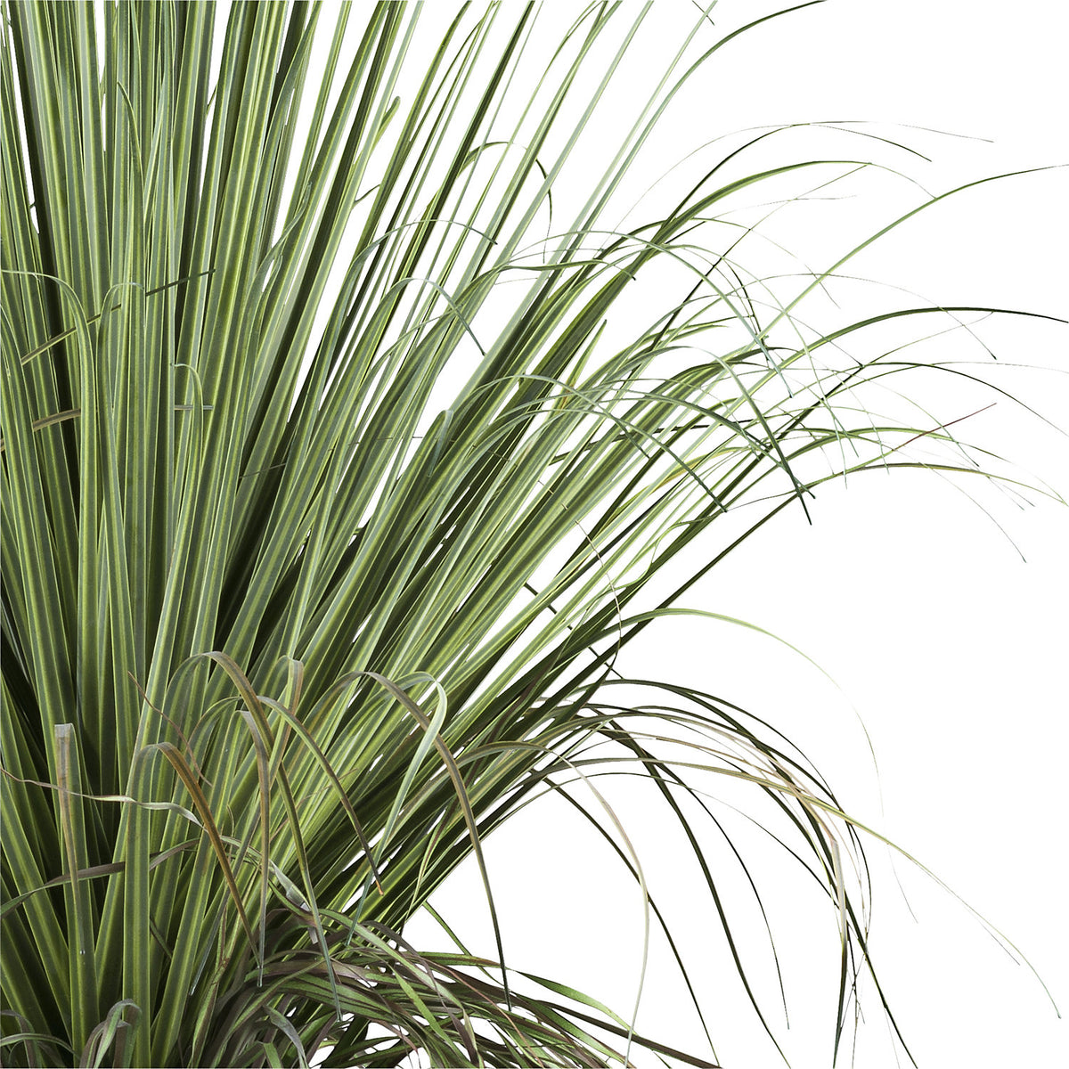 Artificial plant Beaucarnea, plastic pot, height 680 mm.