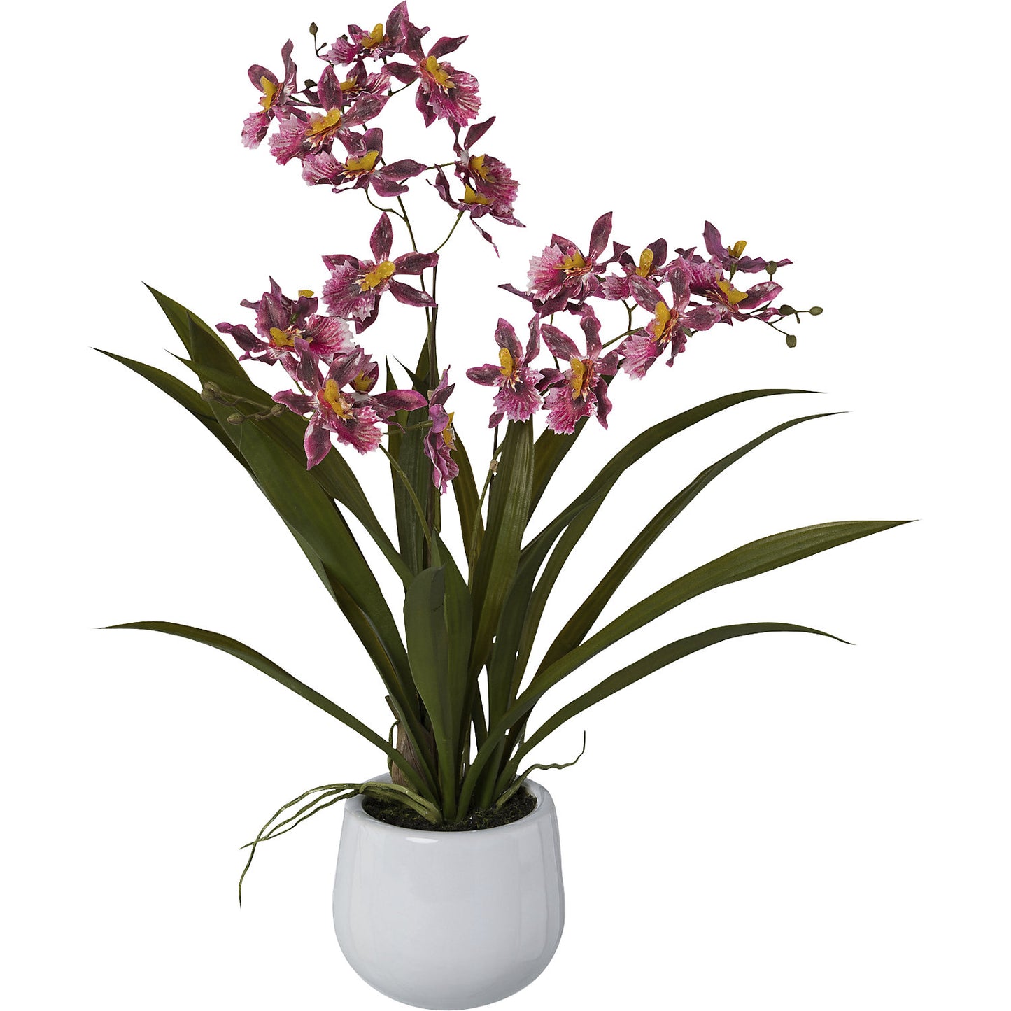 Artificial Cambria orchid, pack of 2, height 500 mm.
