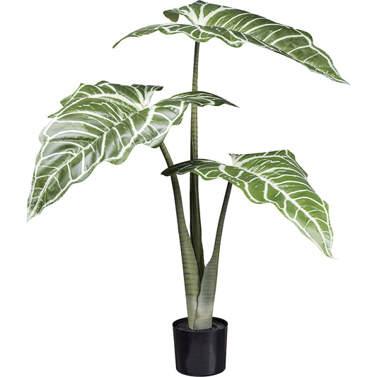 Artificial plant Colocasia White Lava, plastic pot, height 1300 mm.
