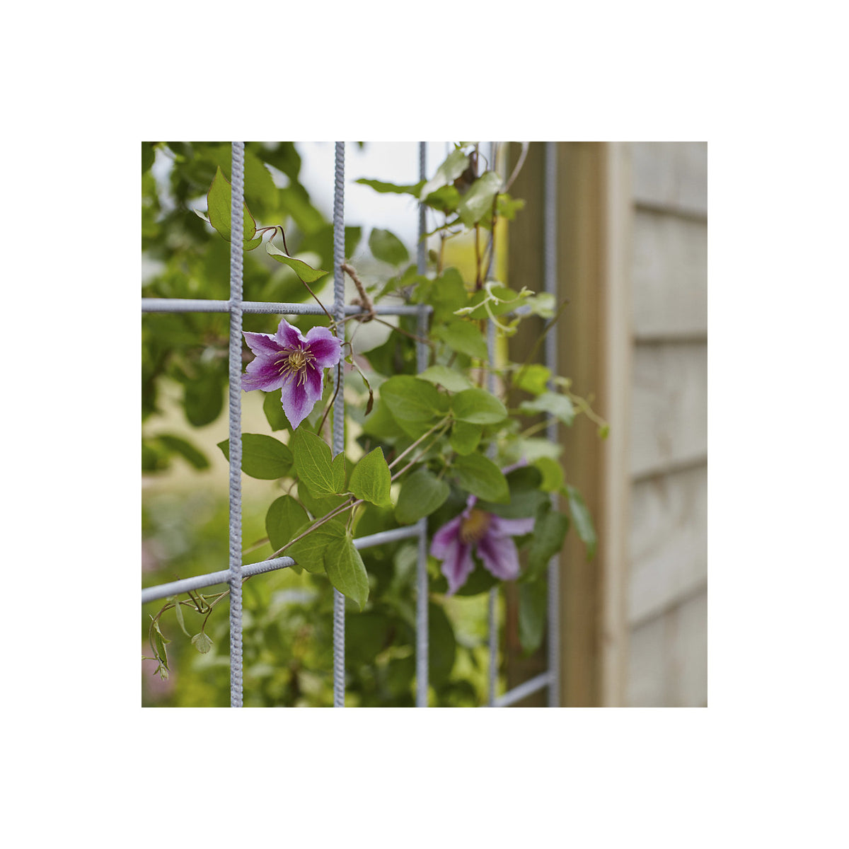 PLUS Klink profile fence, wood, WxH 1740 x 1660 mm, natural.