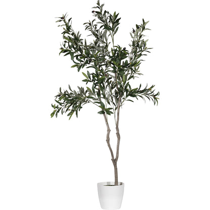 Olive tree, container Ø 180 mm, height 1550 mm.