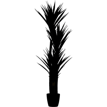 Yucca, container Ø 180 mm, height 1500 mm.