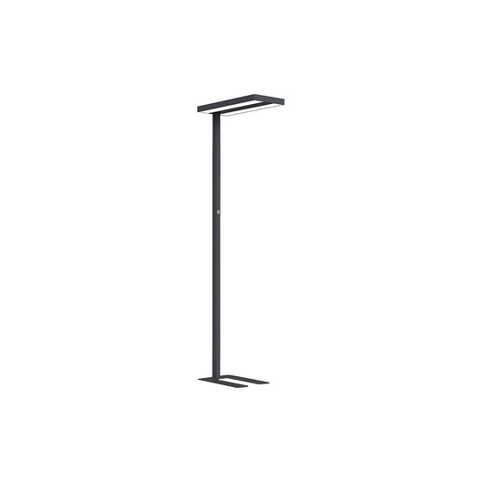 LED floor lamp Lara Up & Down, dimmable, H 1950 mm, black.