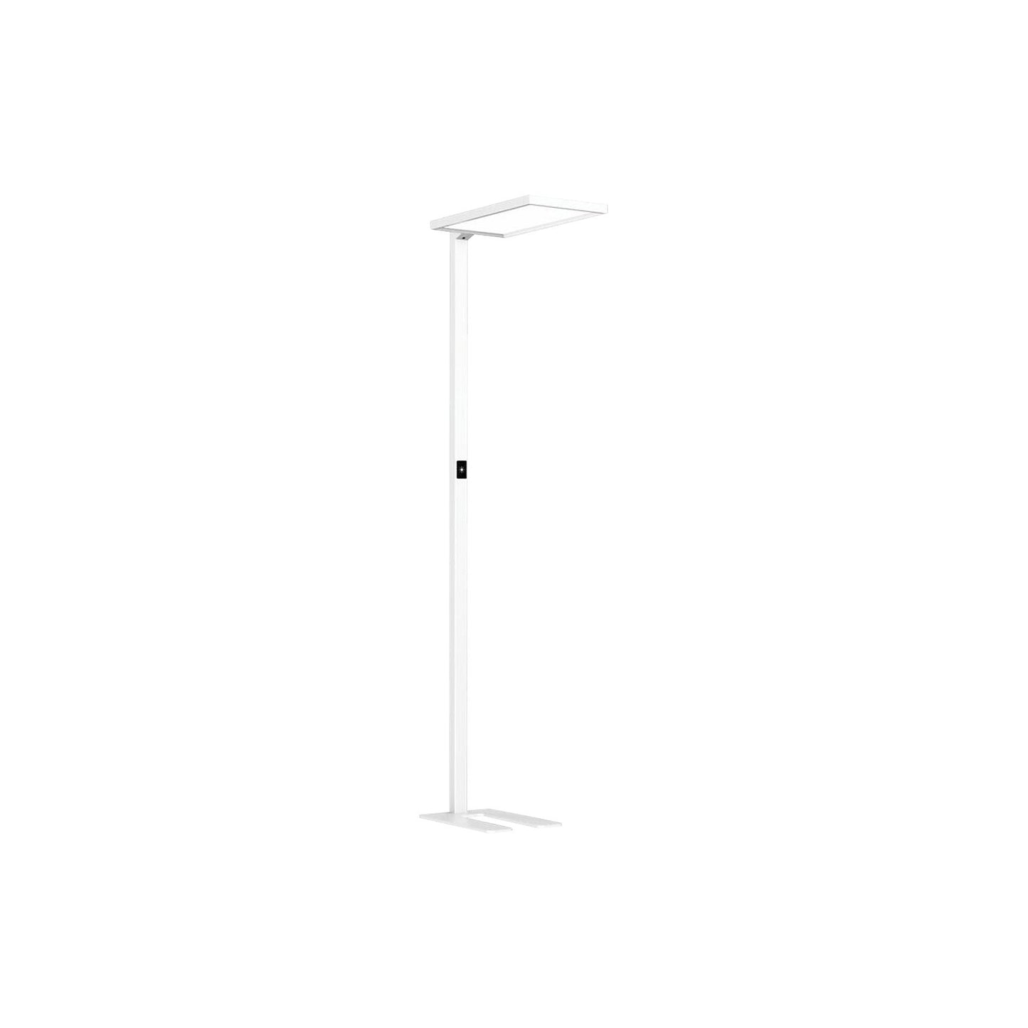 LED floor lamp Luka Up & Down, motion sensor / Touch dimmable, H 1950 mm, white.