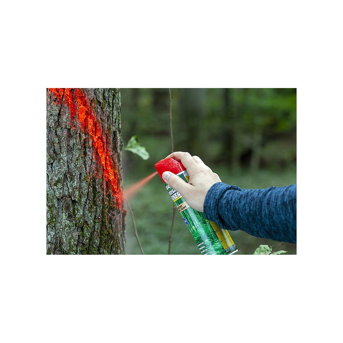 Forestry marker Mammut Paint Universal Marker® long-lasting, contents 500 ml, pack of 12, red.