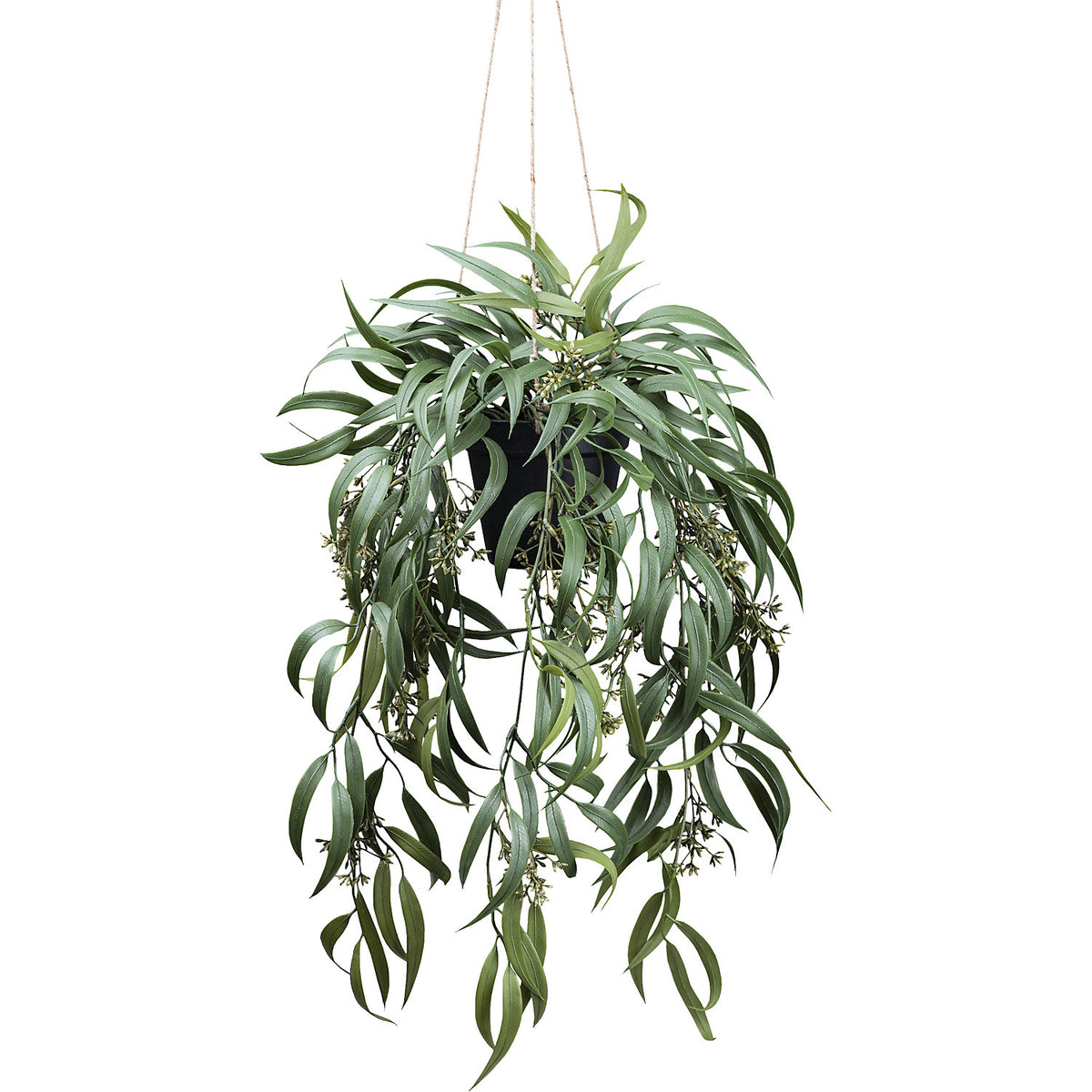 Artificial plant Eucalyptus globulus with fruit cluster, 2-piece set, plastic pot, height 650 mm.