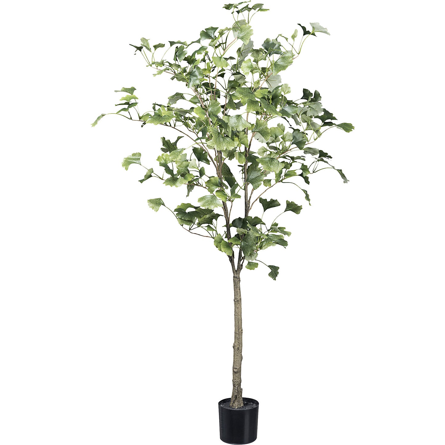Artificial plant Ginkgo tree, plastic pot, height 1200 mm.