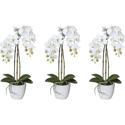 Artificial plant mini orchid Phalaenopsis, ceramic pot, pack of 3, height 430 mm.