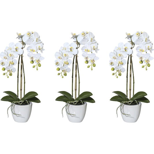 Artificial plant mini orchid Phalaenopsis, ceramic pot, pack of 3, height 430 mm.