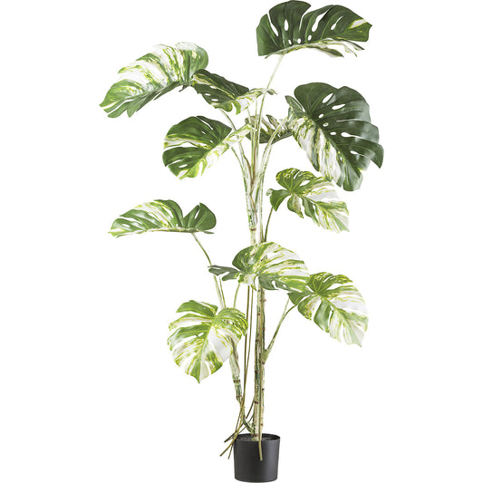 Artificial plant Monstera deliciosa, plastic pot, leaf colour green, height 1600 mm.