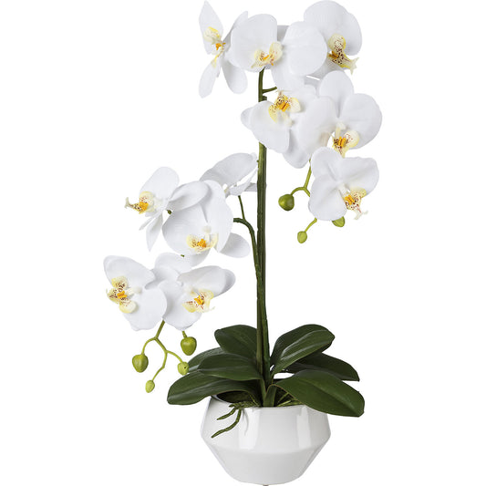 Artificial orchid Phalaenopsis, Real Touch, ceramic pot, height 520 mm, white.
