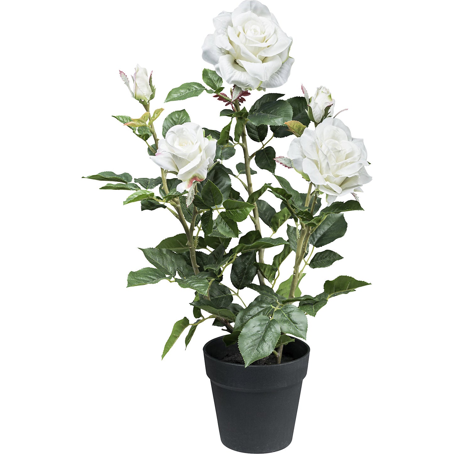 Artificial plant rose bush, plastic pot, pack of 2, height 580 mm, white.