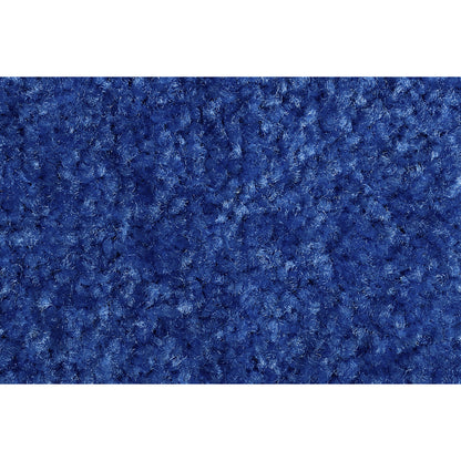 Entrance matting EAZYCARE COLOR, for indoors, LxW 600 x 900 mm, blue.