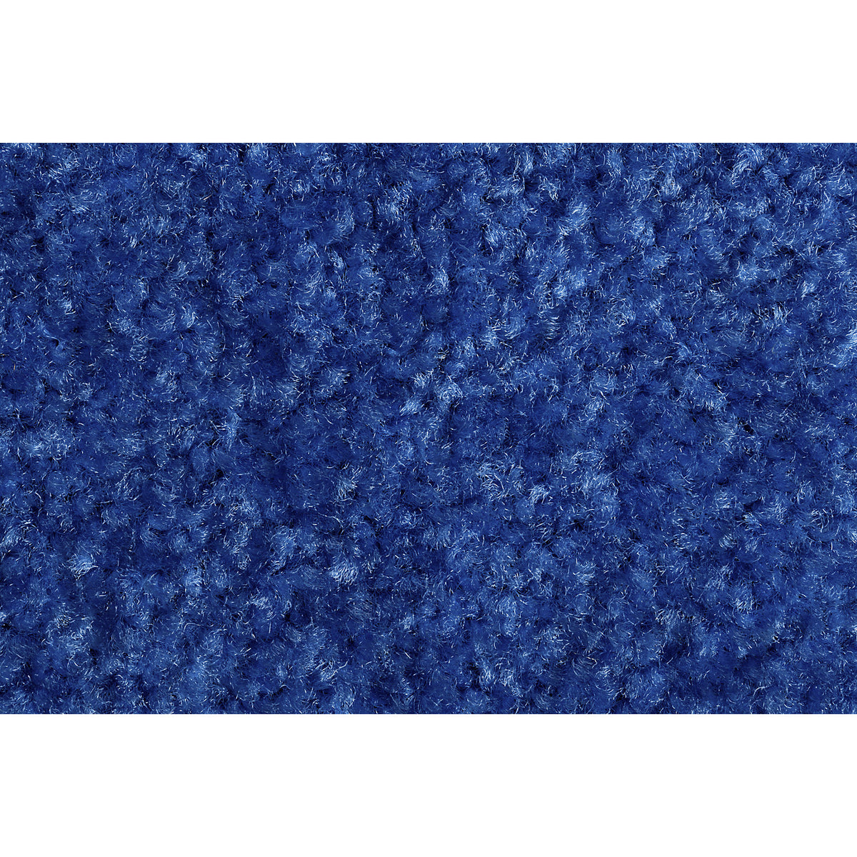 Entrance matting EAZYCARE COLOR, for indoors, LxW 1200 x 1800 mm, blue.