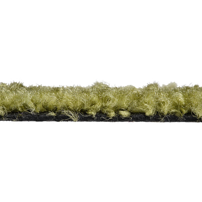 Entrance matting EAZYCARE COLOR, for indoors, LxW 1200 x 1800 mm, green.
